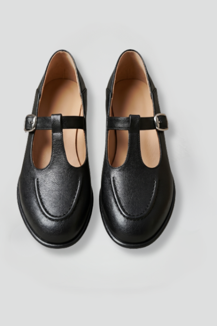 Women's Mary Jane Shoe | T-Strap Closed-Toe Block Heel Buckle